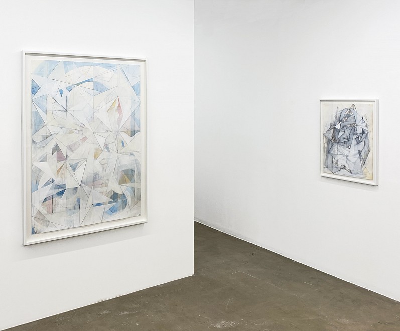 Celia Gerard: Forces of Life - Installation View