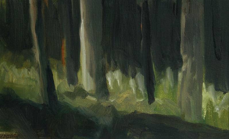 Peter Schroth (LA)
Trees/Dark Space, 1998
SCHR676
oil on paper, 7 x 11 inch image