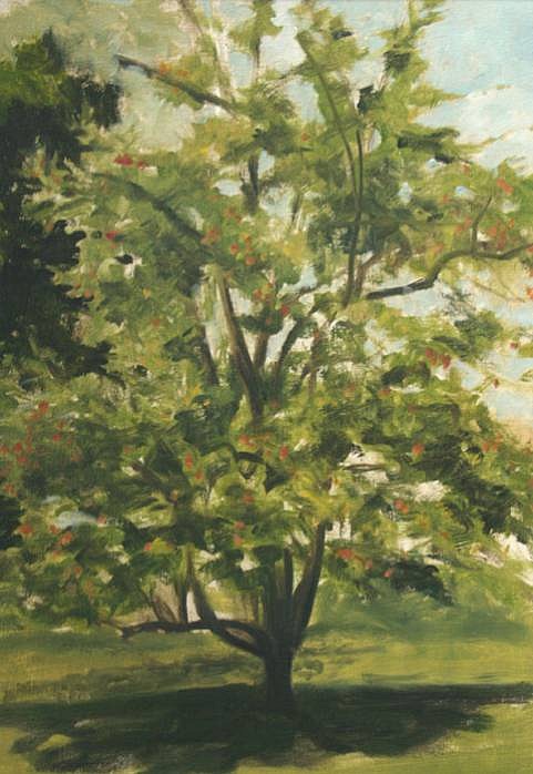 Peter Schroth (LA)
Apple Tree/June
SCHR668
oil on paper, 12 1/2 x 8 1/2 inch image