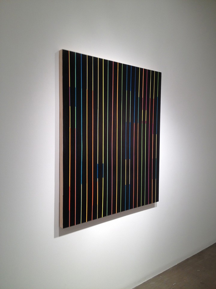 Andrew Zimmerman
Color Between the Lines Installation, 2012
