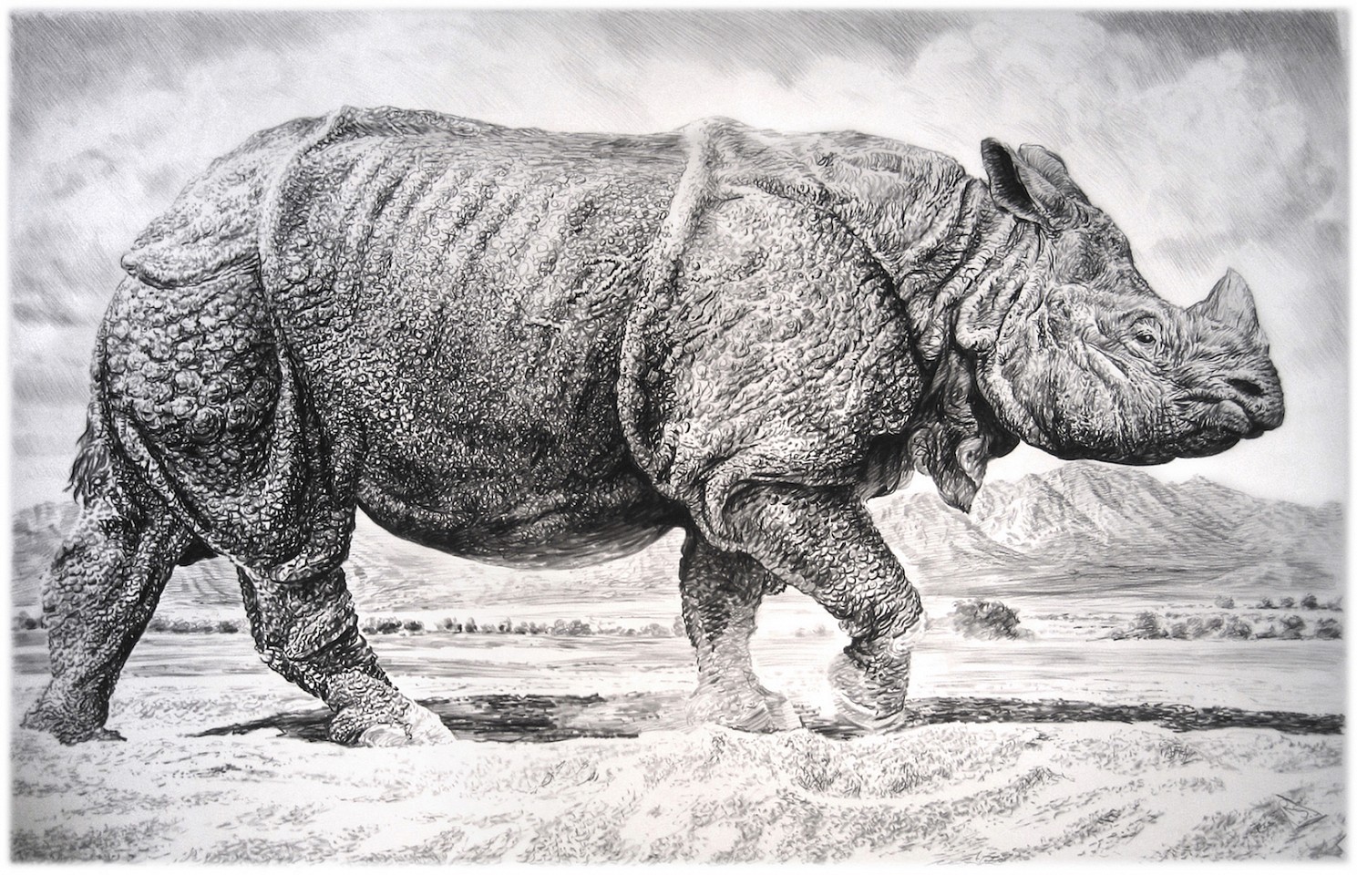 Rick Shaefer
Rhino II, 2016
shaef043
charcoal on vellum, 44 x 65 inches / 49 x 71 inches framed