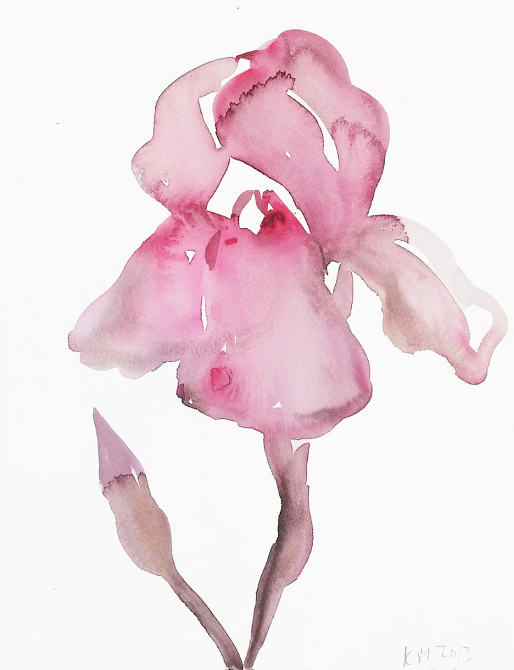 Kim McCarty (LA)
Pink Iris, 2015
MCCAR070
watercolor on paper, 15 x 11 1/2 inches