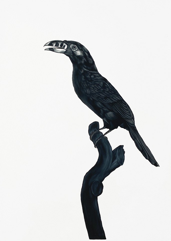 Shelley Reed
Aracari (after Barraband), 2021
REE198
oil on paper, 41 1/2 x 29 1/2 inches