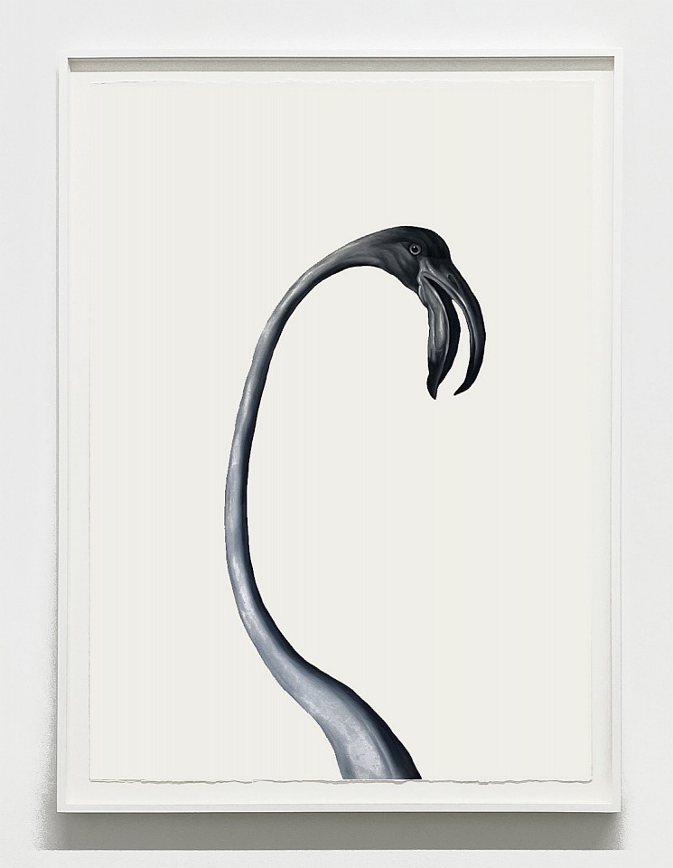 Shelley Reed
Flamingo 3 (after Desportes), 2023
REE269
oil on paper, 41 1/2 x 29 1/2 inches / 45 x 34 inches framed