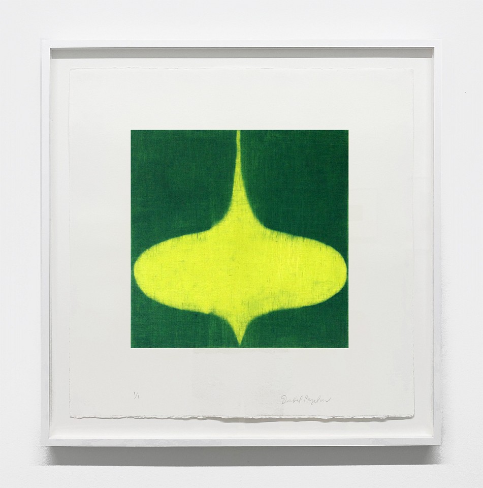 Isabel Bigelow
green top, 2013
BIG1367
monoprint, 22 x 22 inches paper / 14 x 14 inches image
