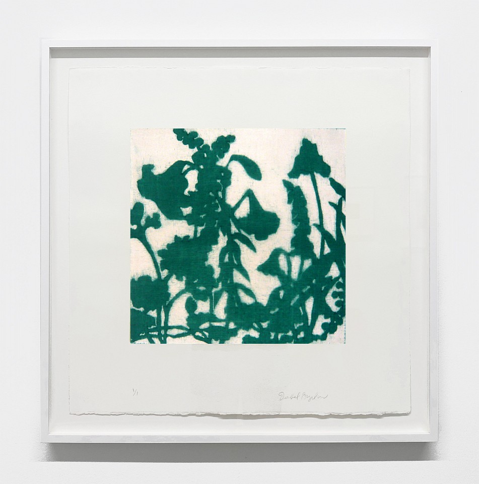 Isabel Bigelow
garden II (green + pale), 2008
BIG1059
monotype, 22 x 22 inch paper / 14 x 14 inch image