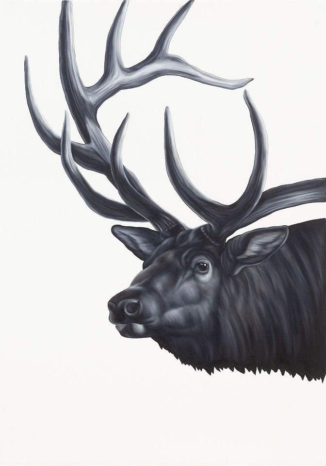 Shelley Reed
Bull Elk (after Ringius), 2023
REE283
oil on paper, 41 1/2 x 29 1/2 inches