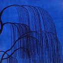 Isabel Bigelow, blue willow
2008, oil on panel