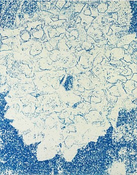 Work: Hydrangea, 2011 silkscreen ink on silk 76 x 60 inches BROD225