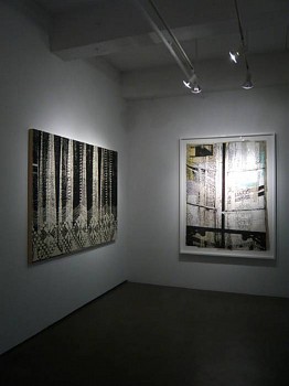 Work: Silkscreen Paintings Exhibition, 2011 BROD239