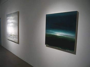 Work:&nbsp;Installation, 2012 DULAN791