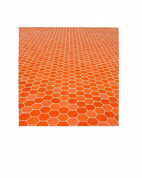 Sara Eichner - red hexagon floor, 2006 goauche on watercolor paper 14 x 14  inch image / 30 x 22  inch paper EICH087