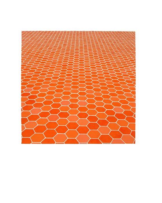 Sara Eichner
red hexagon floor, 2006
EICH087
goauche on watercolor paper, 14 x 14  inch image / 30 x 22  inch paper