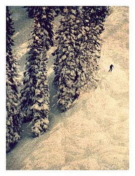 Work:&nbsp;Aspen #8, ed. of 17, 2014 K-3 pigment print 44 x 35 inch paper / 40 x 31 inch image, ed. of 17 | 71 x 54 inch paper 67 x 50 inch image, ed. of 7 HUGG207