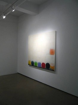 Work: Missing Link Installation, 2010 MER635