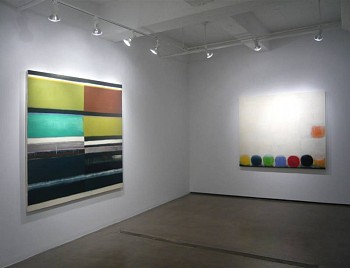 Work: Missing Link Installation, 2010 MER634