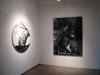 Work: Something is amiss amidst all this beauty and delight exhibition, 2010 REE095