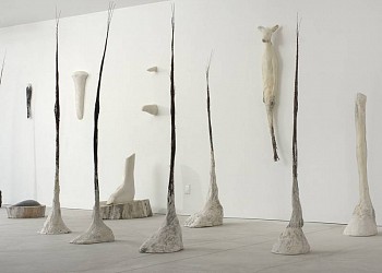Work:&nbsp;Hooves, 2007 willow, hemp, marble mix, and pigment ROSEN132