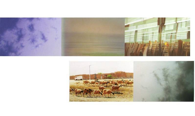 Robert Schmid
Julia Sets, 2005
SCHM133
acrylic on paper, 33 x 48 inch paper / 
20 x 47.5 inch image