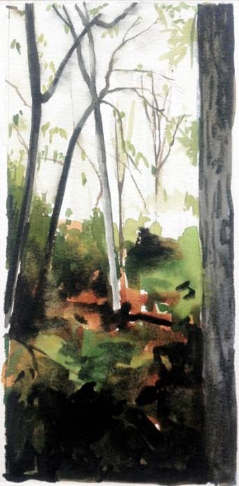 Peter Schroth
Path Between Trees 1
SCHR547
ink, 7 x 5 inch image