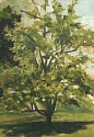 Peter Schroth (LA), Apple Tree/June
oil on paper