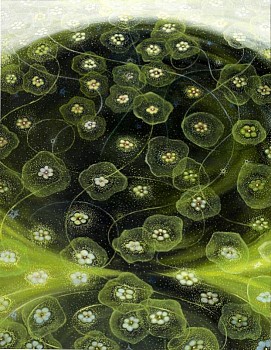 Mark di Vincenzo -&nbsp;Circle Dream, 2009 oil on canvas 72 x 56 inches VIN120