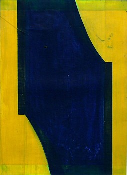 Tad Wiley - Waterlog #5, 2008 oil based enamel on vellum 30 x 24 inches framed / 20 x 15 inches image wile044