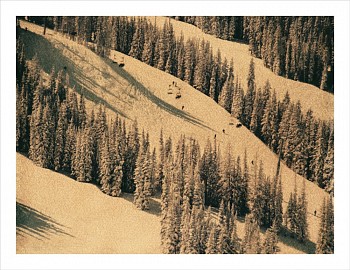 John Huggins -&nbsp;Aspen #21, ed. of 17, 2014 K-3 pigment print 35 x 44 inch paper / 31 x 40 inch image. 54 x 71 inch paper/50 x 67 inch image edition of 9. HUGG320