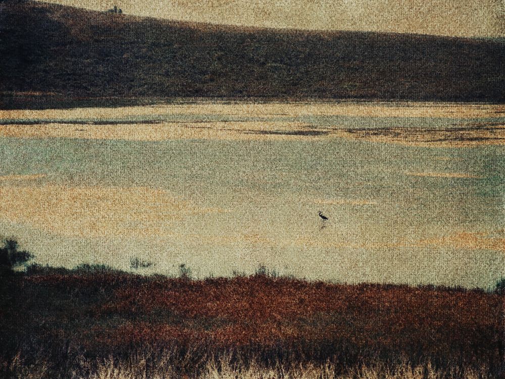 John Huggins
Estuary, California, ed. of 17, 2014
HUGG328
K-3 pigment print, 35 x 44 inch paper / 31 x 40 inch image, ed. of 17 | 54 x 71 inch paper / 50 x 67 inch image, ed. of 7
