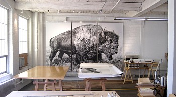Rick Shaefer -&nbsp;American Bison, Studio View, 2013