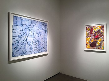 Bo Joseph: Hiding in Plain Sight 