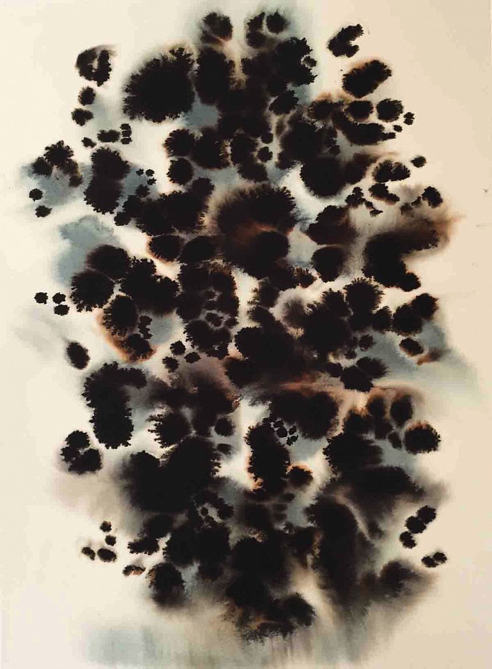 Lourdes Sanchez
Skin, 2015
SANCH401
ink on silk, 19 x 14 inch image/30 x 22 inch paper