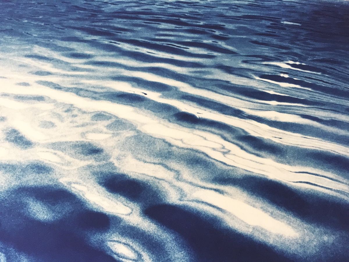 Thomas Hager
Water Surface, 5/12, 2015
HAG552
cyanotype, 29 1/2 x 41 1/2 inches full bleed