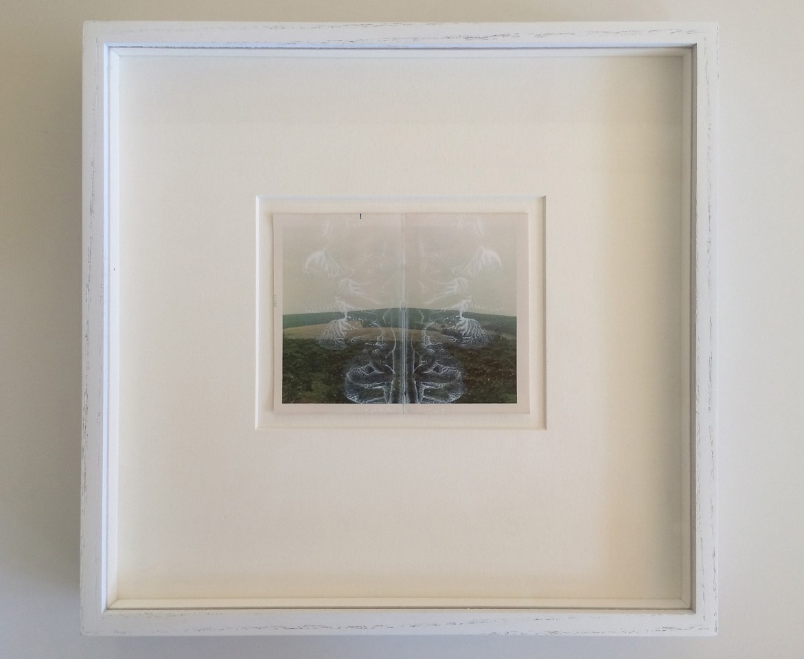 Randi Malkin Steinberger (LA)
Meadow, 2015
stein312
vintage photograph and nail polish, 10.25 x 10.5 inches Frame is $200