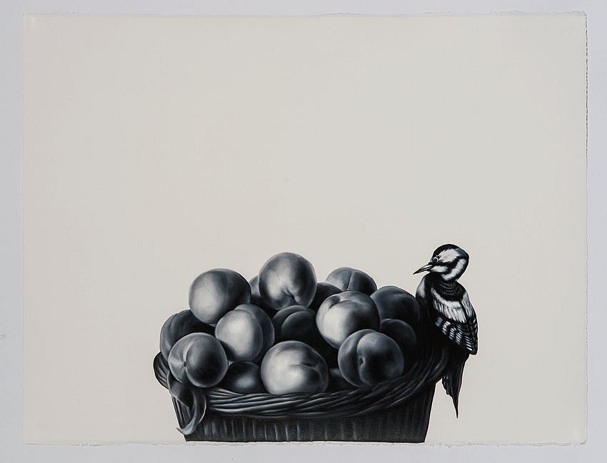 Shelley Reed (LA)
With Basket of Fruit (after Desportes), 2016
REE136
oil on paper, 22.5 x 30 inches