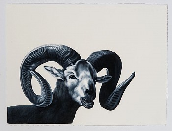Shelley Reed (LA) -&nbsp;Ram (after Oudry), 2016 oil on paper 22.5 x 30 inches REE132