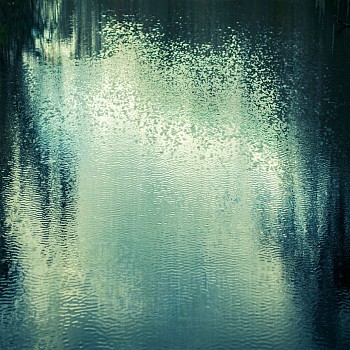 Thomas Hager (LA) -&nbsp;Deep Creek with Moss - 1, 1/10, 2016 archival pigment print 43 x 43 inches HAG578