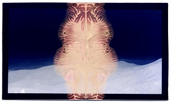 Randi Malkin Steinberger (LA) - Blue Range, ed. of 11, 2016 archival pigment print 24 x 40 inch image / 24.5 x 41.5 inches framed  Stein082