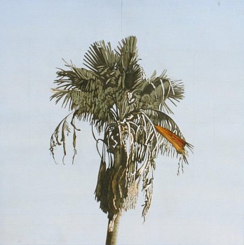 Clay Wagstaff (LA) - Palms no. 8, 2016 oil on paper 26 x 26 inches WAG343