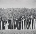 Clay Wagstaff (LA), White Trunks no. 2
2016, graphite on arches cover paper