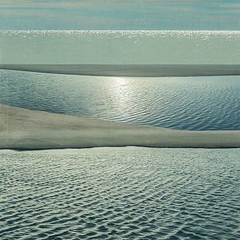 Thomas Hager -&nbsp;Tide Pool Design - I, 1/10, 2017 archival pigment print 42.5 x 42 inches HAG601