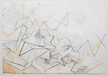 Work: Celia Gerard Hiding in plain sight, 2017 mixed media on paper 42 x 60 inches GER082