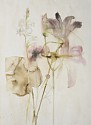Lourdes Sanchez (Watercolor), tuberose, lily, elephant ear, Yucatan
2018, ink, watercolor, conte pencil, gouache on paper
