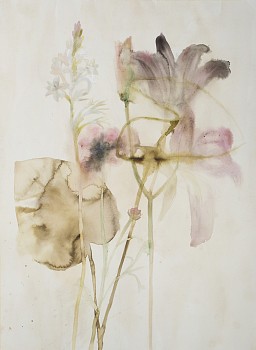 Lourdes Sanchez (Watercolor) - tuberose, lily, elephant ear, Yucatan, 2018 ink, watercolor, conte pencil, gouache on paper 37 1/2 x 28 inches SANCH711