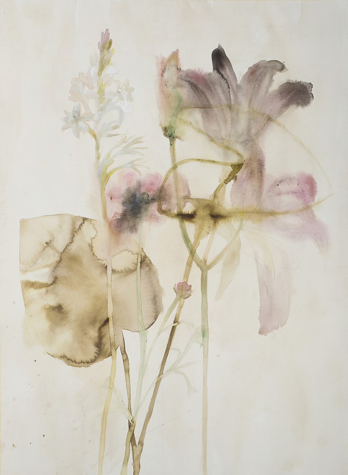 Lourdes Sanchez (Watercolor)
tuberose, lily, elephant ear, Yucatan, 2018
SANCH711
ink, watercolor, conte pencil, gouache on paper, 37 1/2 x 28 inches