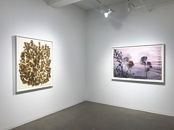 Lourdes Sanchez&nbsp;