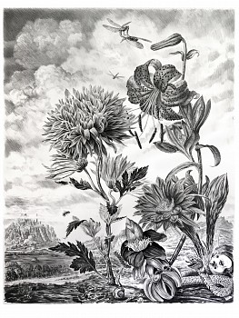 Work: Untitled #7 (The Parson's Tale), 2018 charcoal on vellum mounted on aluminum 61 x 48 inches, 63 x 50 inches framed shaef068