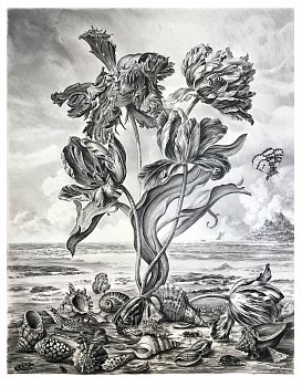 Work: Untitled #5 (The Parson's Tale), 2018 charcoal on vellum mounted on aluminum 61 x 48 inches, 63 x 50 inches framed shaef066