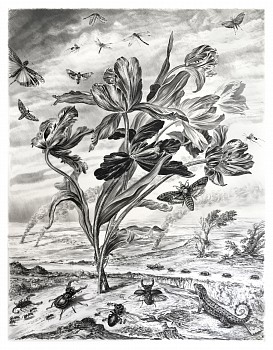 Work: Untitled #3 (The Parson's Tale), 2018 charcoal on vellum mounted on aluminum 61 x 48 inches, 63 x 50 inches framed shaef064