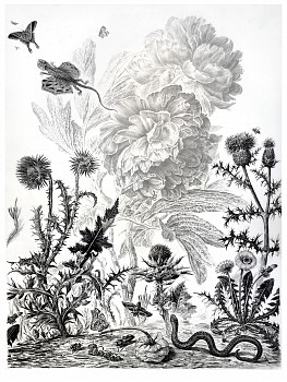 Work: Untitled #2 (The Parson's Tale), 2018 charcoal on vellum mounted on aluminum 61 x 48 inches, 63 x 50 inches framed shaef063